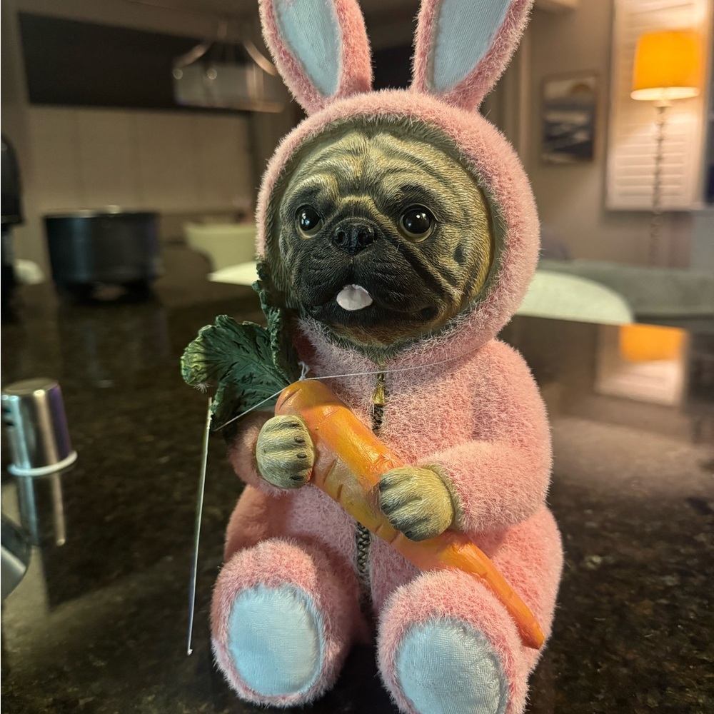 Adorable Pug in Pink Bunny Costume with Carrot